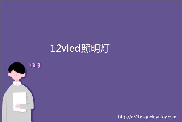 12vled照明灯